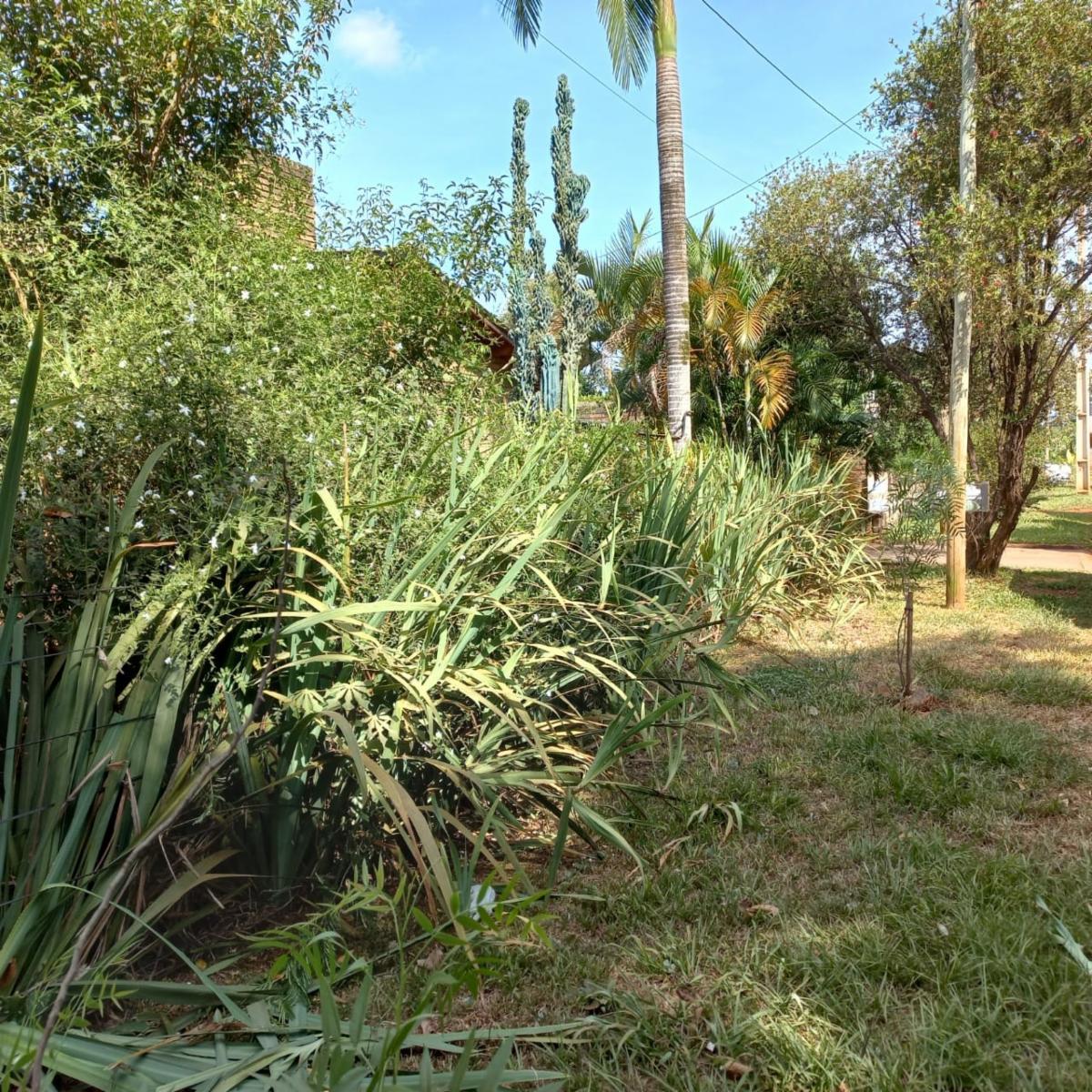 Sendero de la Mujer · Oberá — foto 5