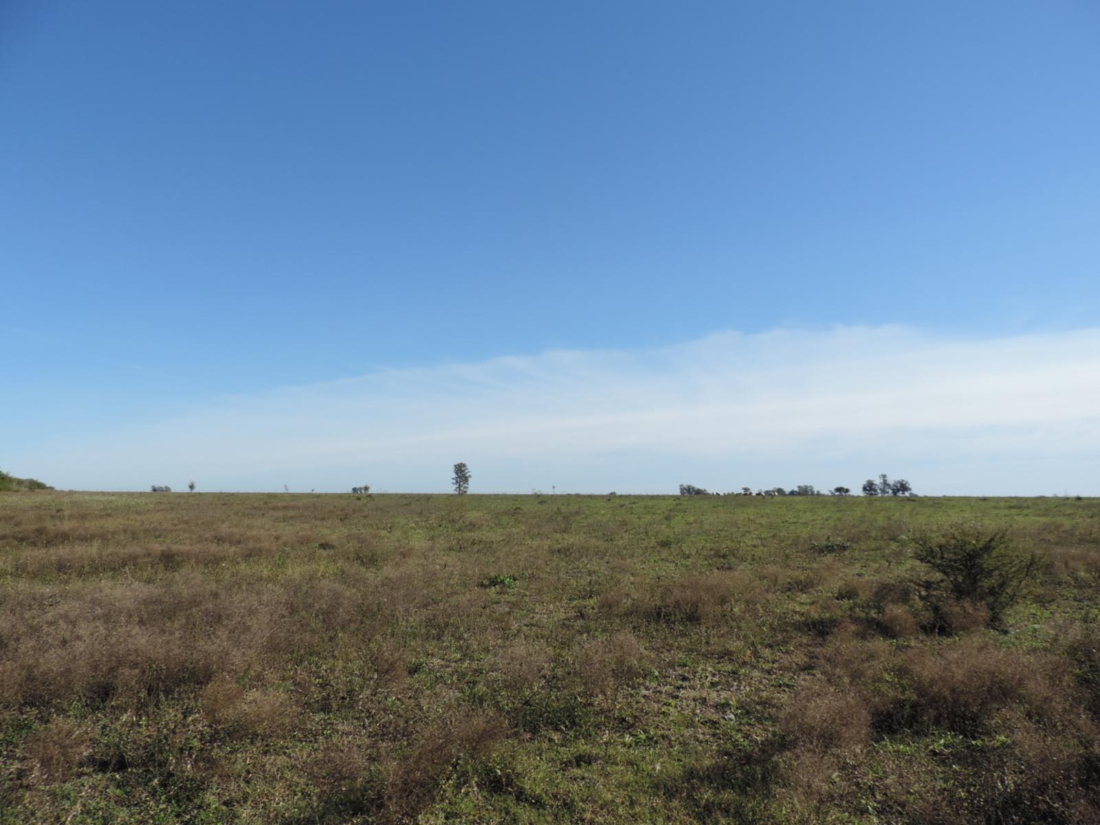 49 HECTAREAS AGRICOLAS/GANADERAS