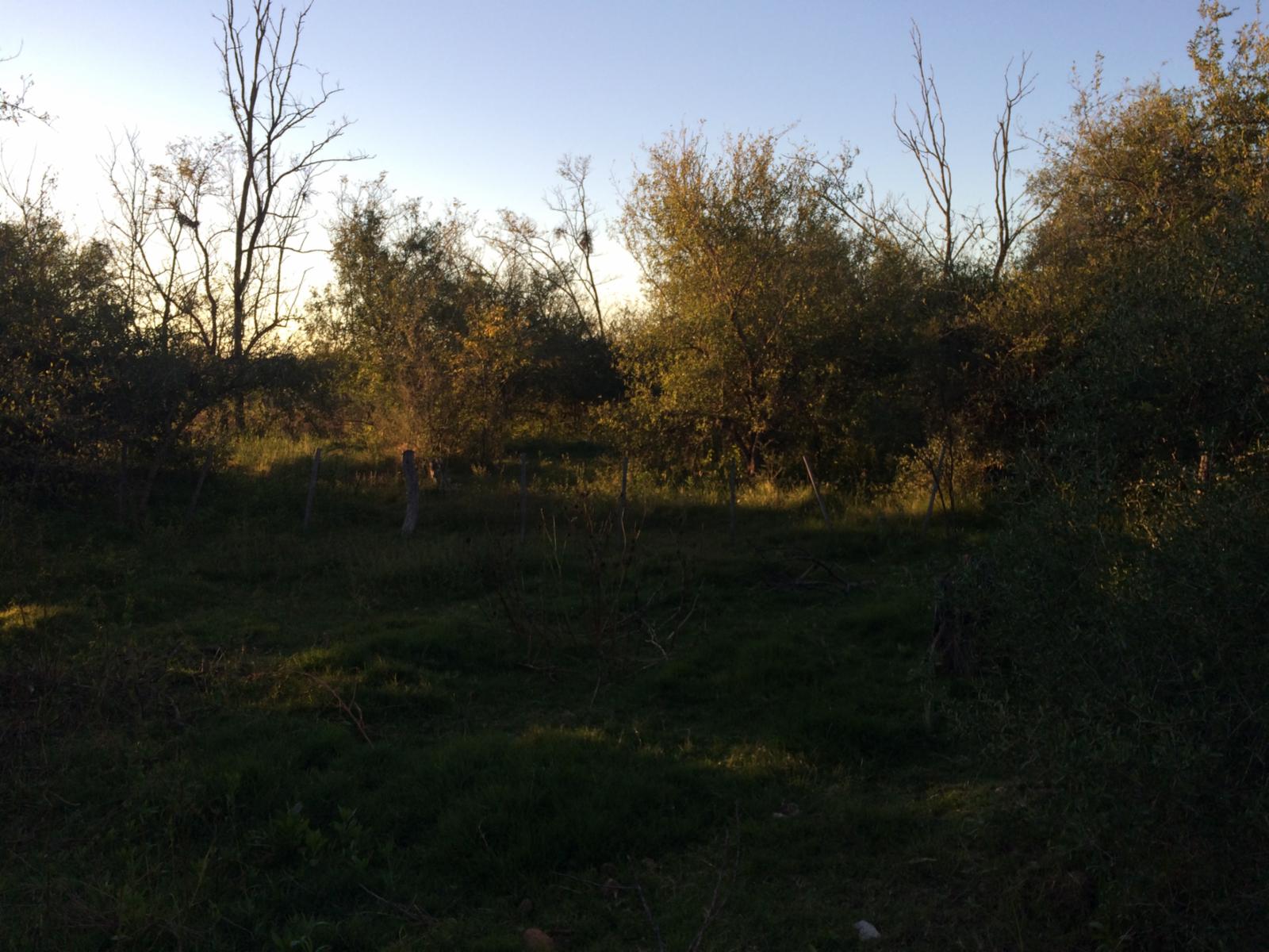 Villa de las Rosas · San Javier — foto 3