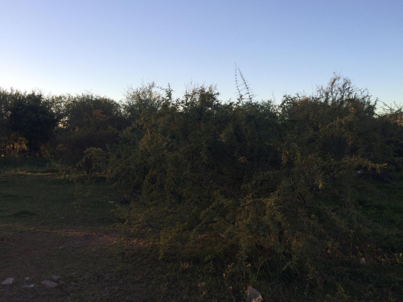 Villa de las Rosas · San Javier — foto 5