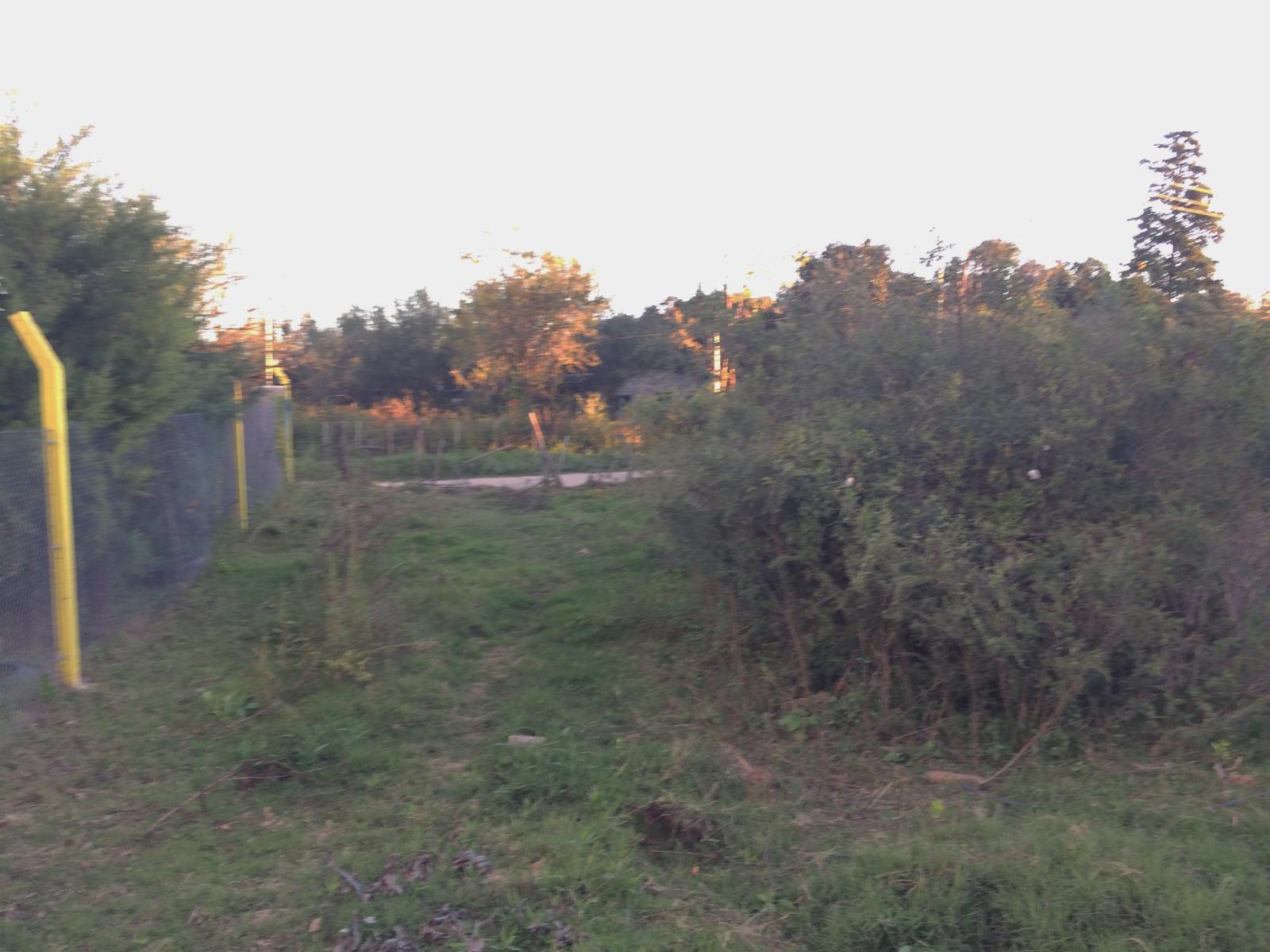 Villa de las Rosas · San Javier — foto 6