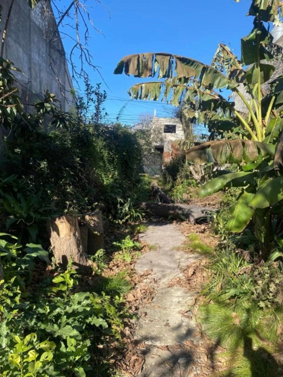BETBEDERE 2345 BOULOGNE · San Isidro — foto 6