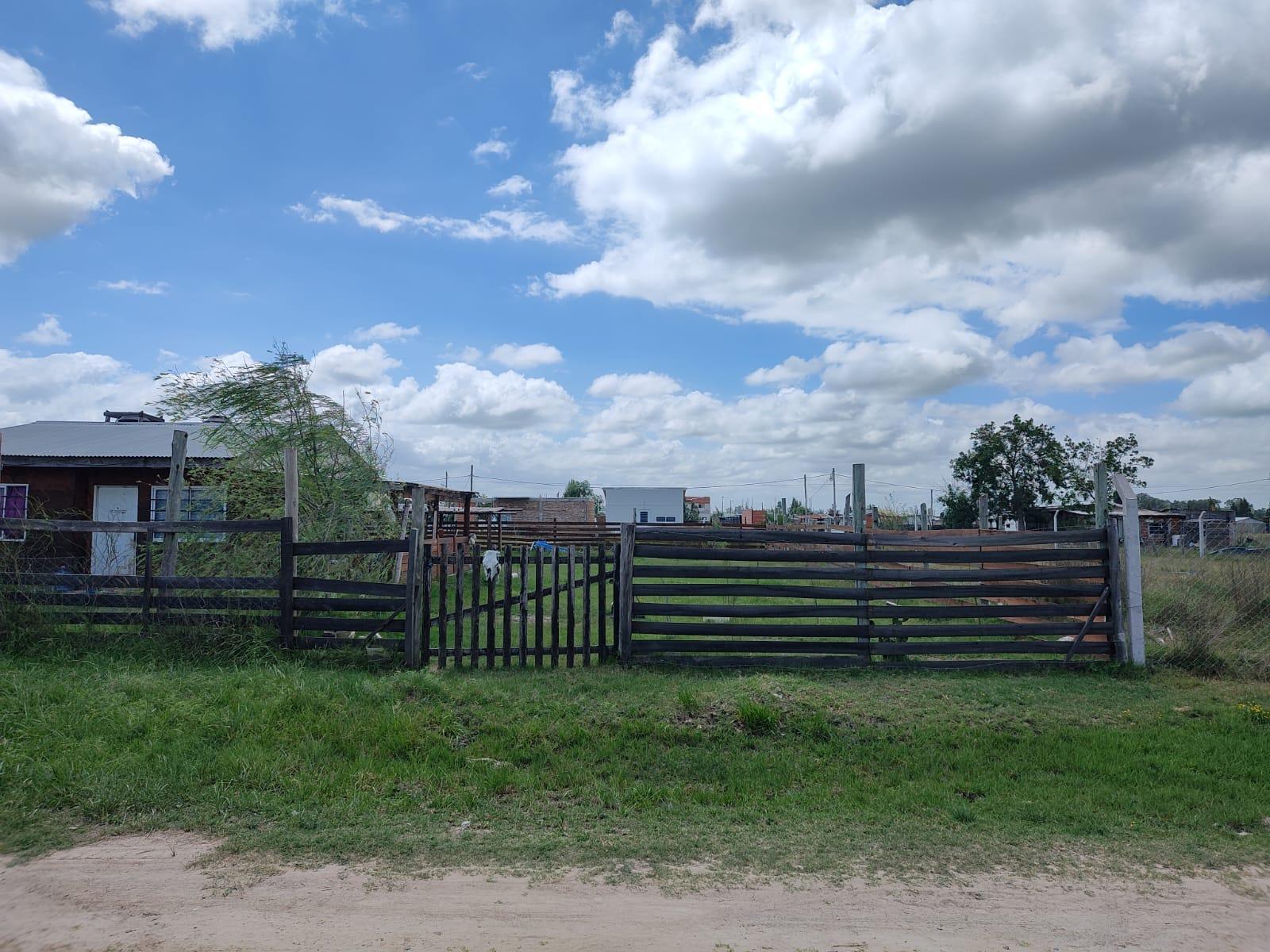 Ardiles · Brandsen — foto 12