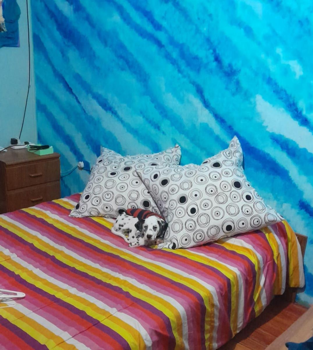 Ardiles · Brandsen — foto 14