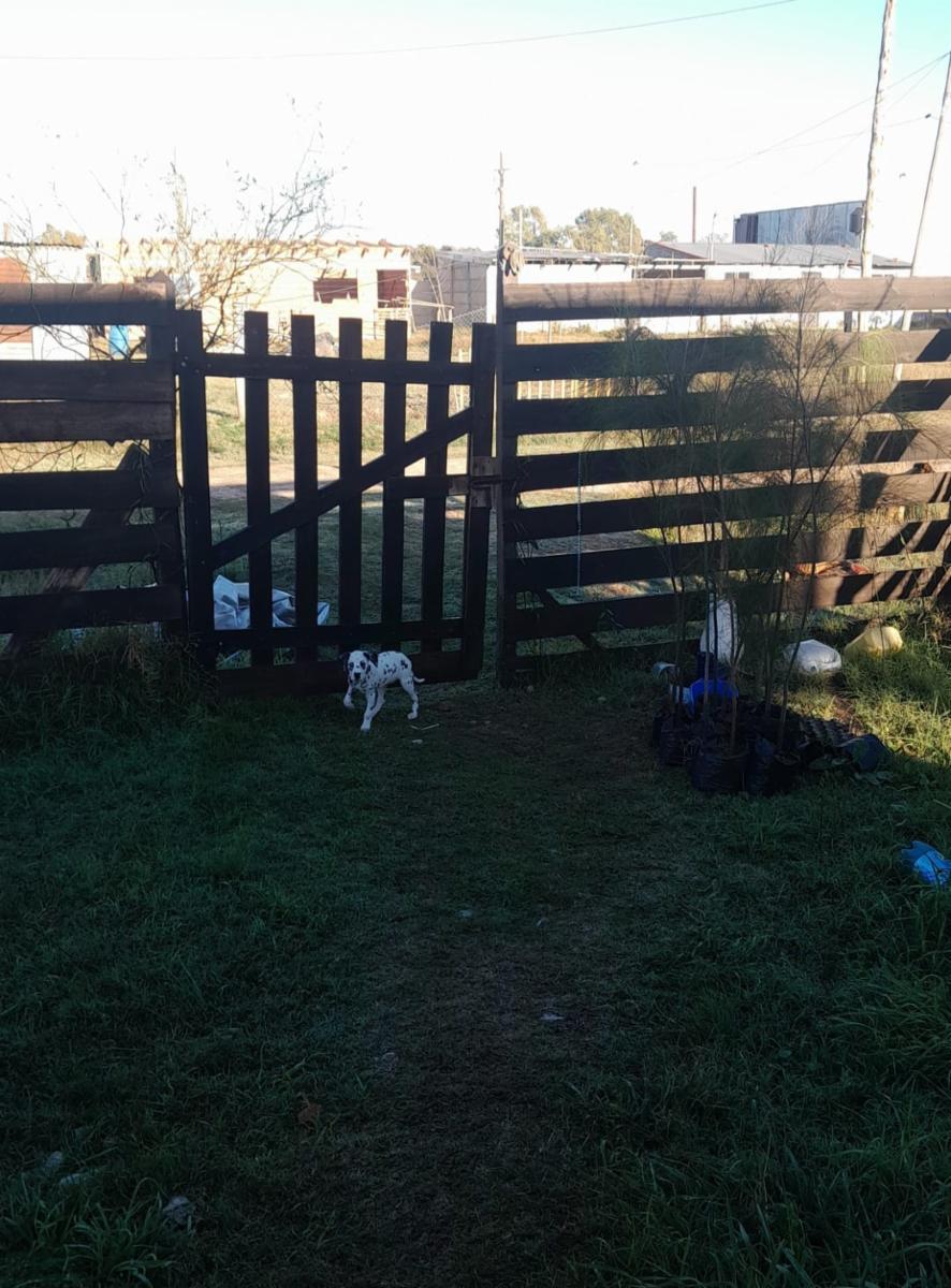 Ardiles · Brandsen — foto 9