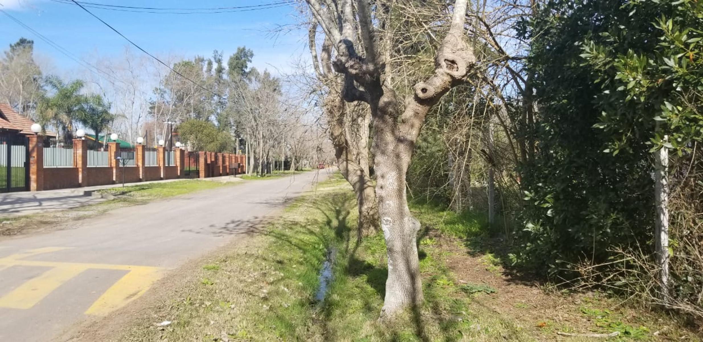 FRACCION de 3724 mts en CALLE RECONQUISTA - DIQUE LUJAN · Tigre — foto 3