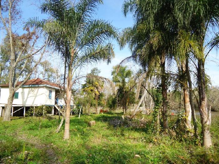 Canal Arana · San Fernando — foto 12