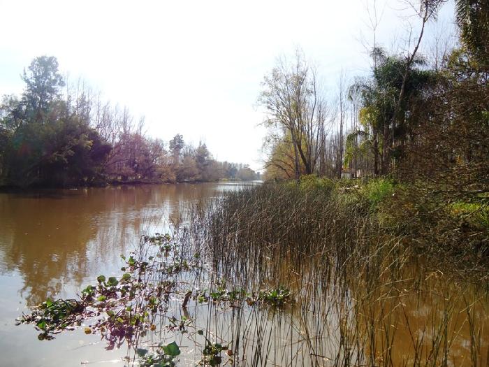 Canal Arana · San Fernando — foto 13