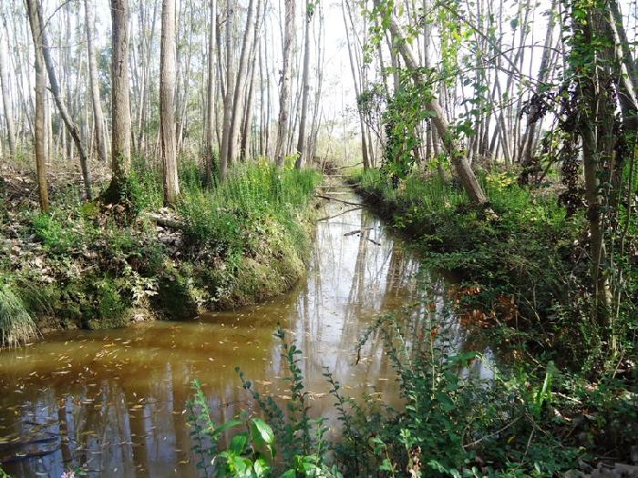 Canal Arana · San Fernando — foto 9