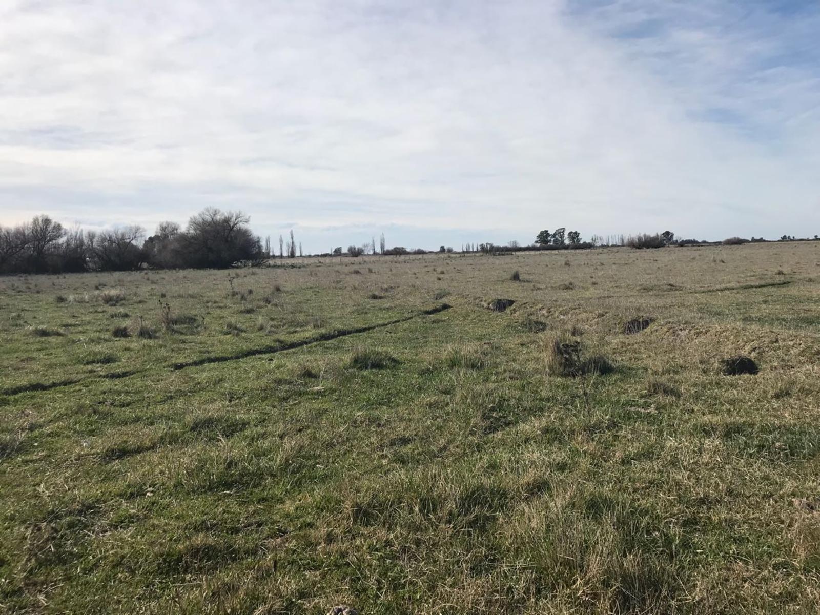 RUTA N3 · Patagones — foto 12