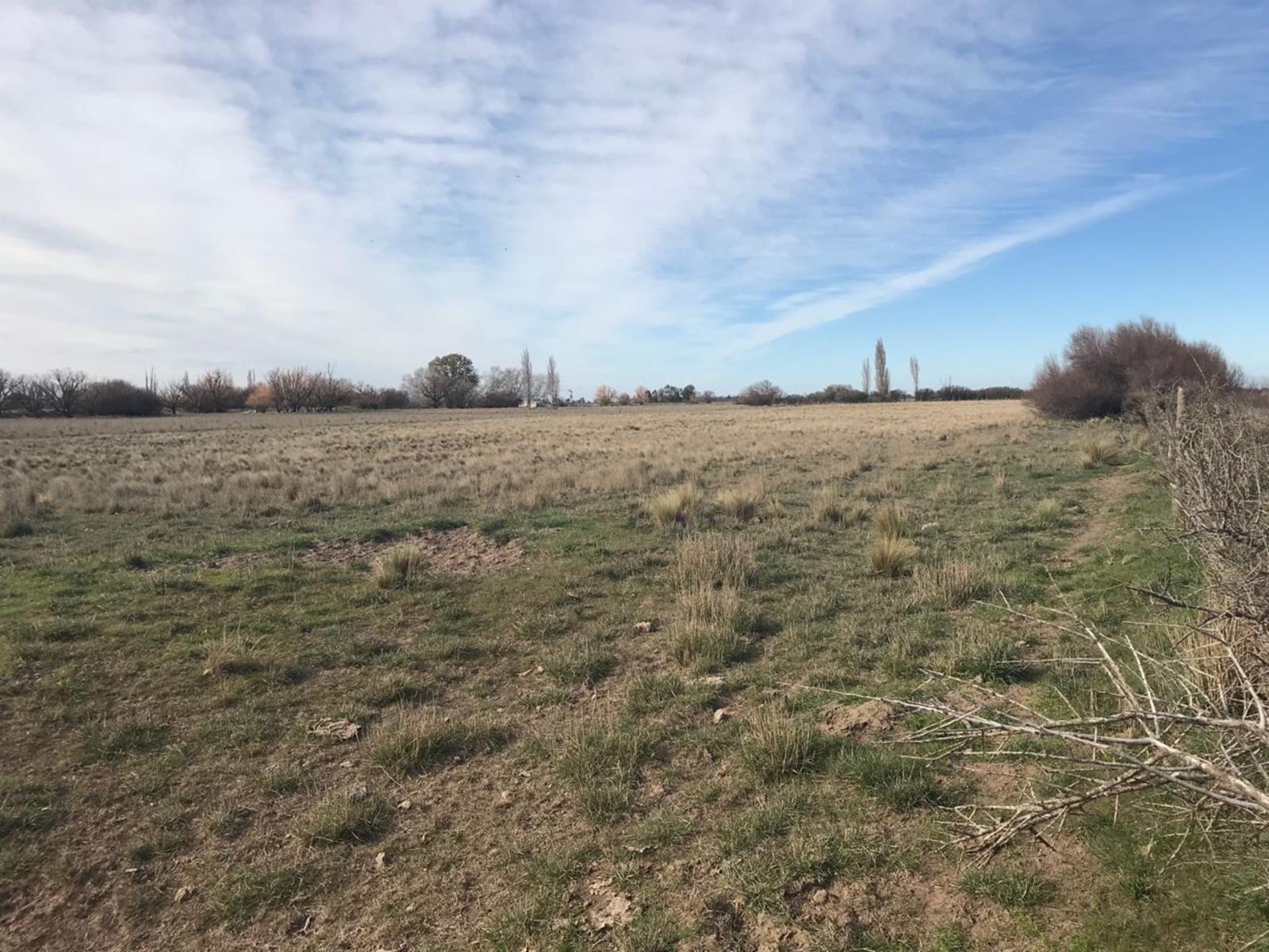RUTA N3 · Patagones — foto 14