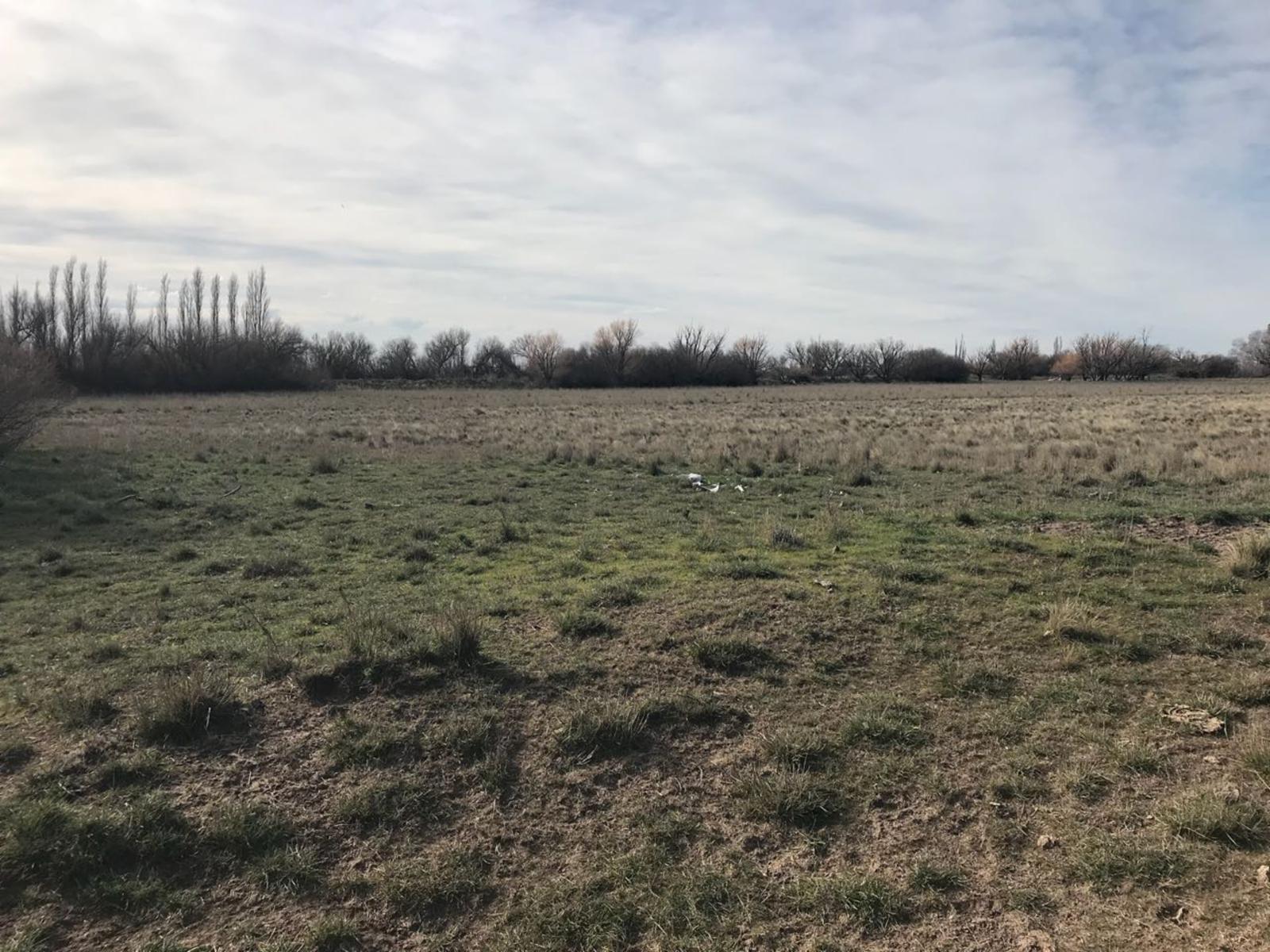 RUTA N3 · Patagones — foto 15