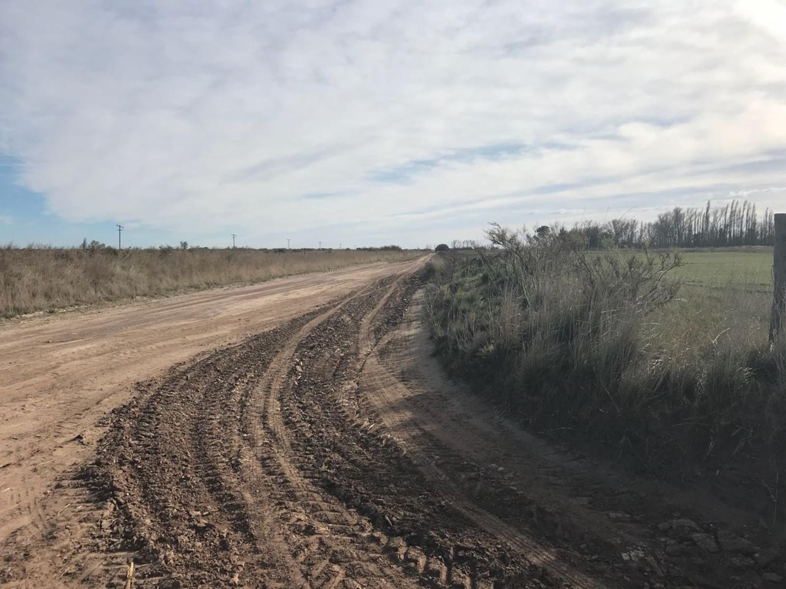 RUTA N3 · Patagones — foto 16