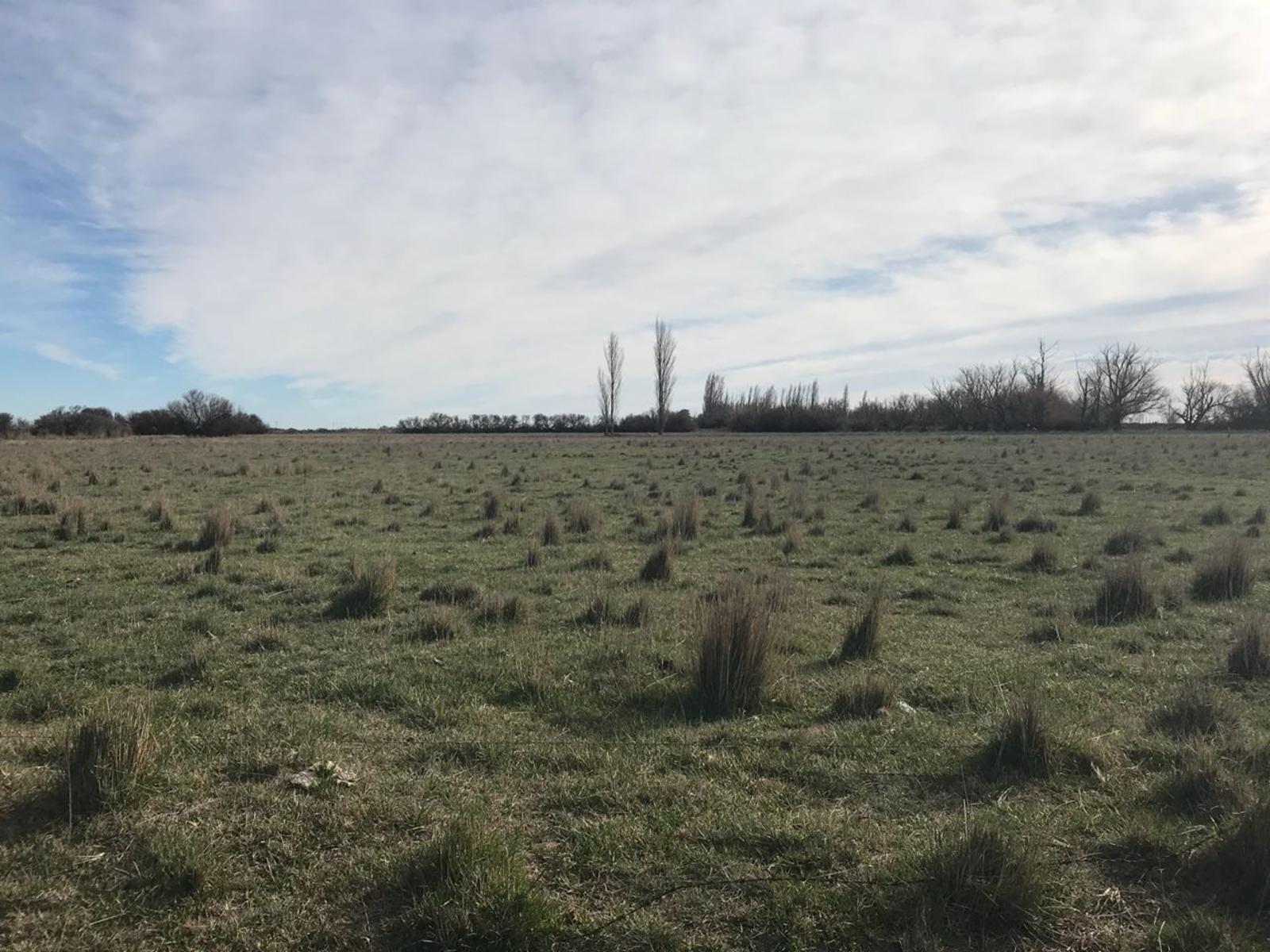 RUTA N3 · Patagones — foto 3