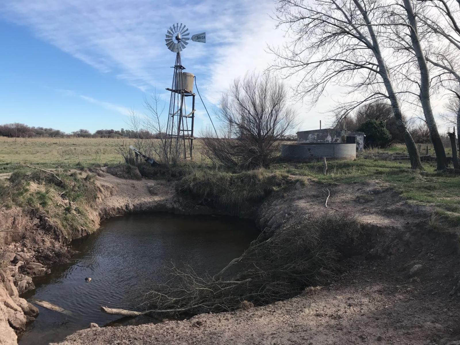 RUTA N3 · Patagones — foto 4