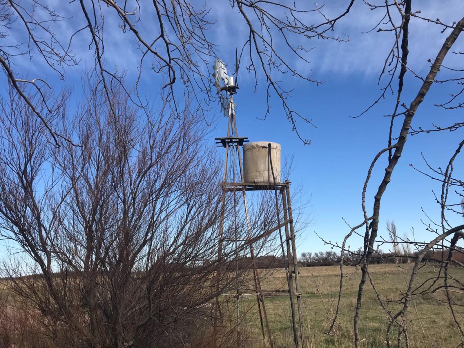 RUTA N3 · Patagones — foto 5