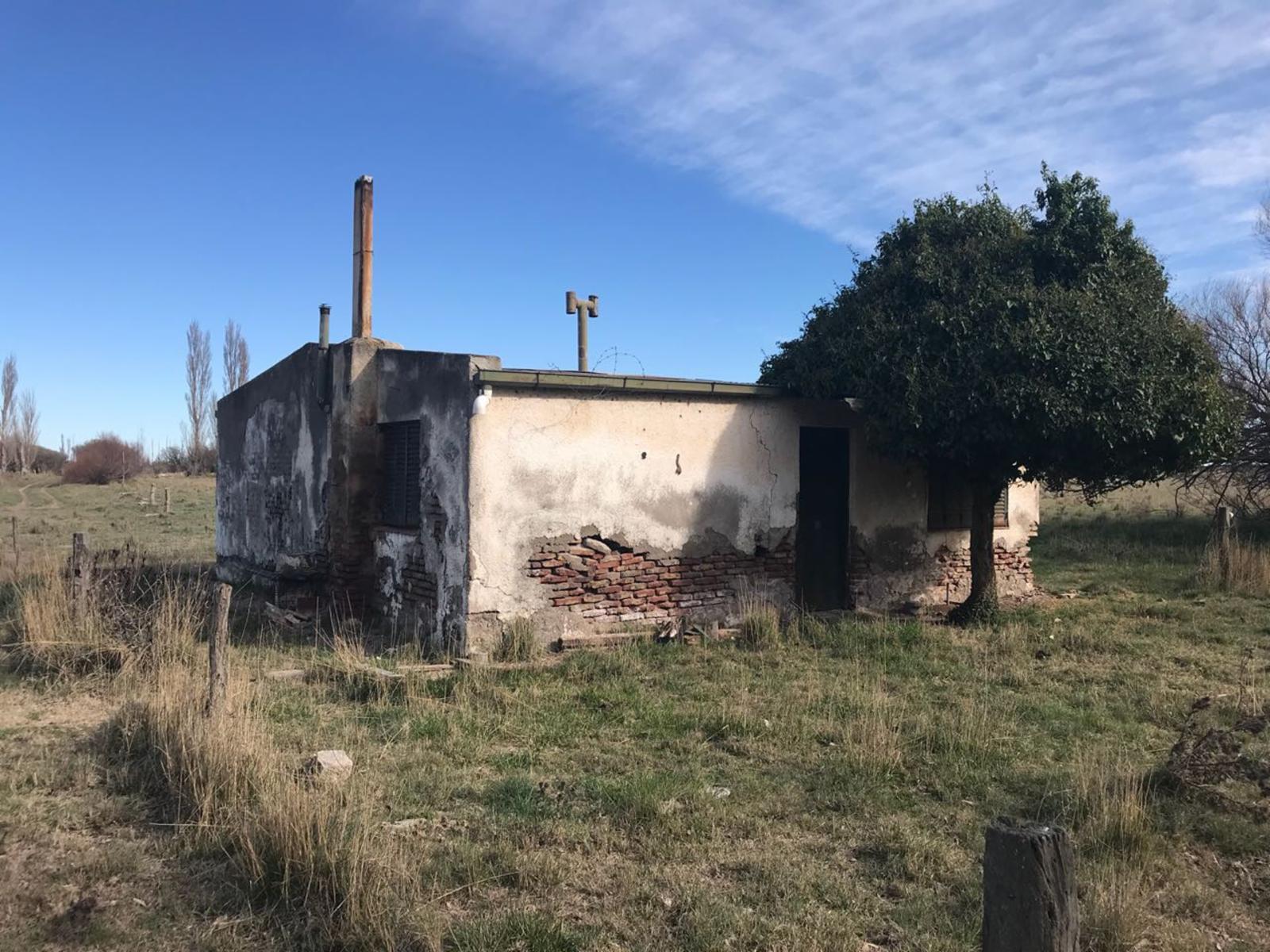 RUTA N3 · Patagones — foto 6