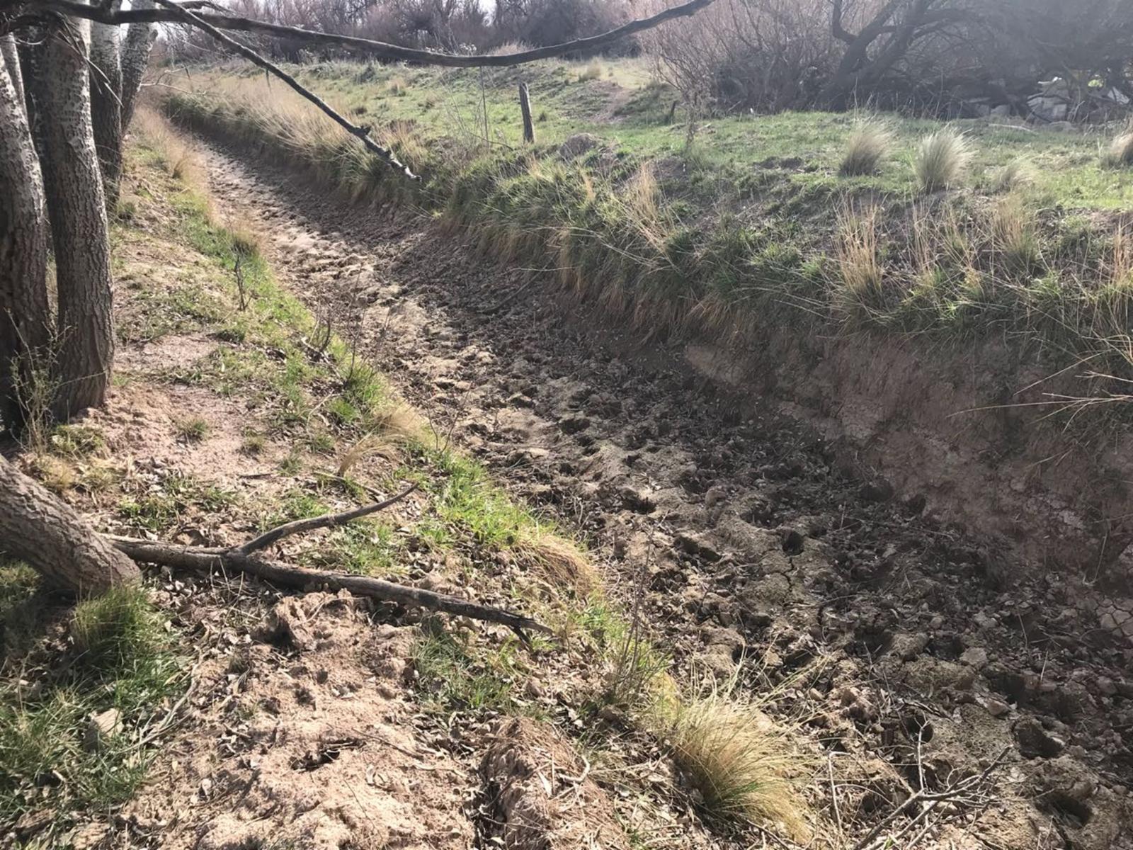 RUTA N3 · Patagones — foto 7