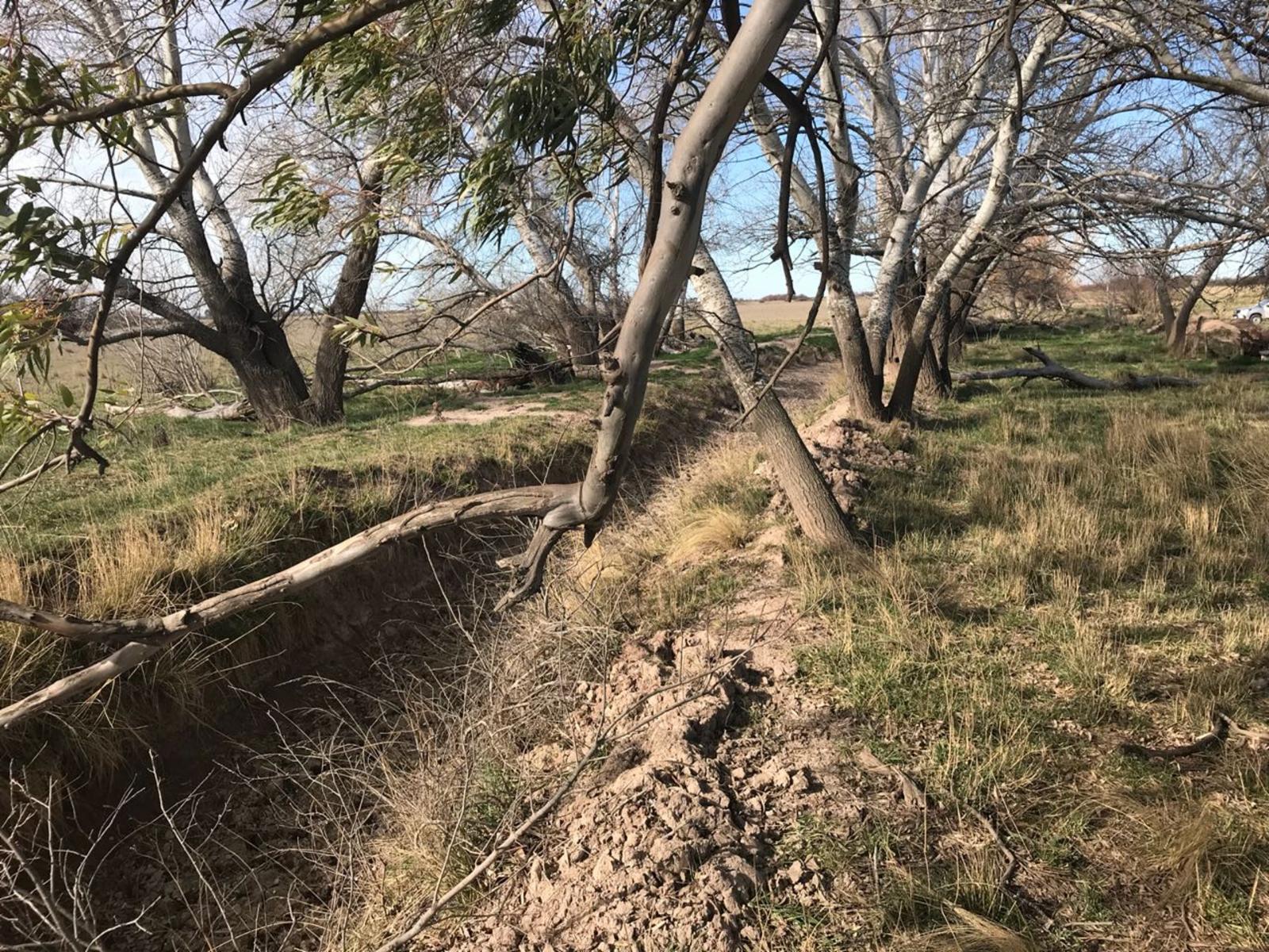 RUTA N3 · Patagones — foto 8