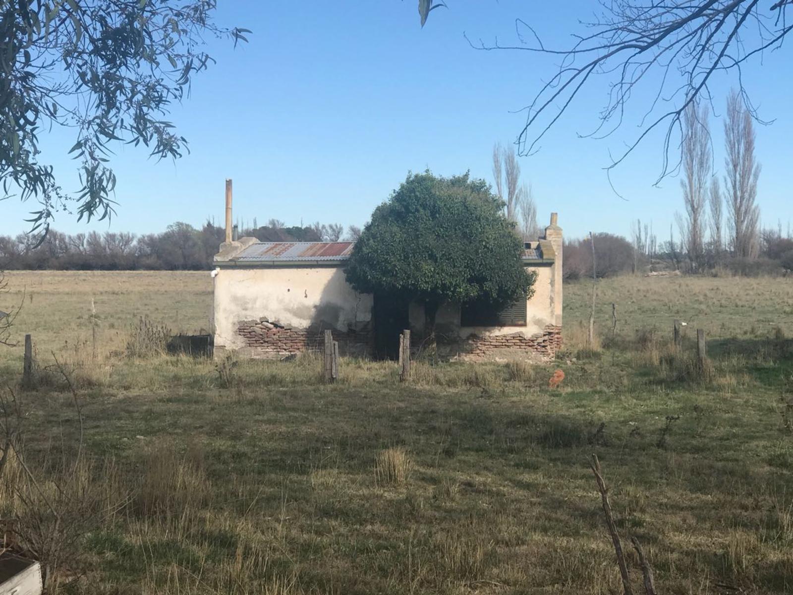 RUTA N3 · Patagones — foto 9