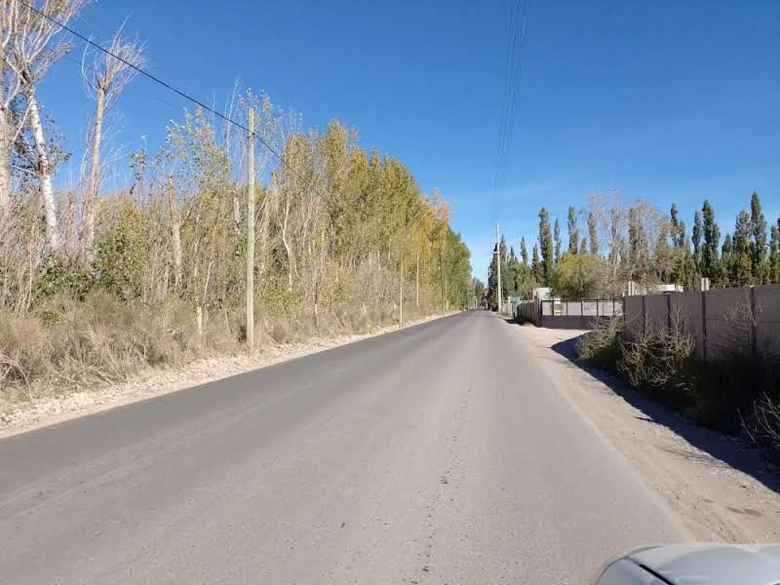 Av. Constituyentes y Carlos Pellegrini · Confluencia — foto 7