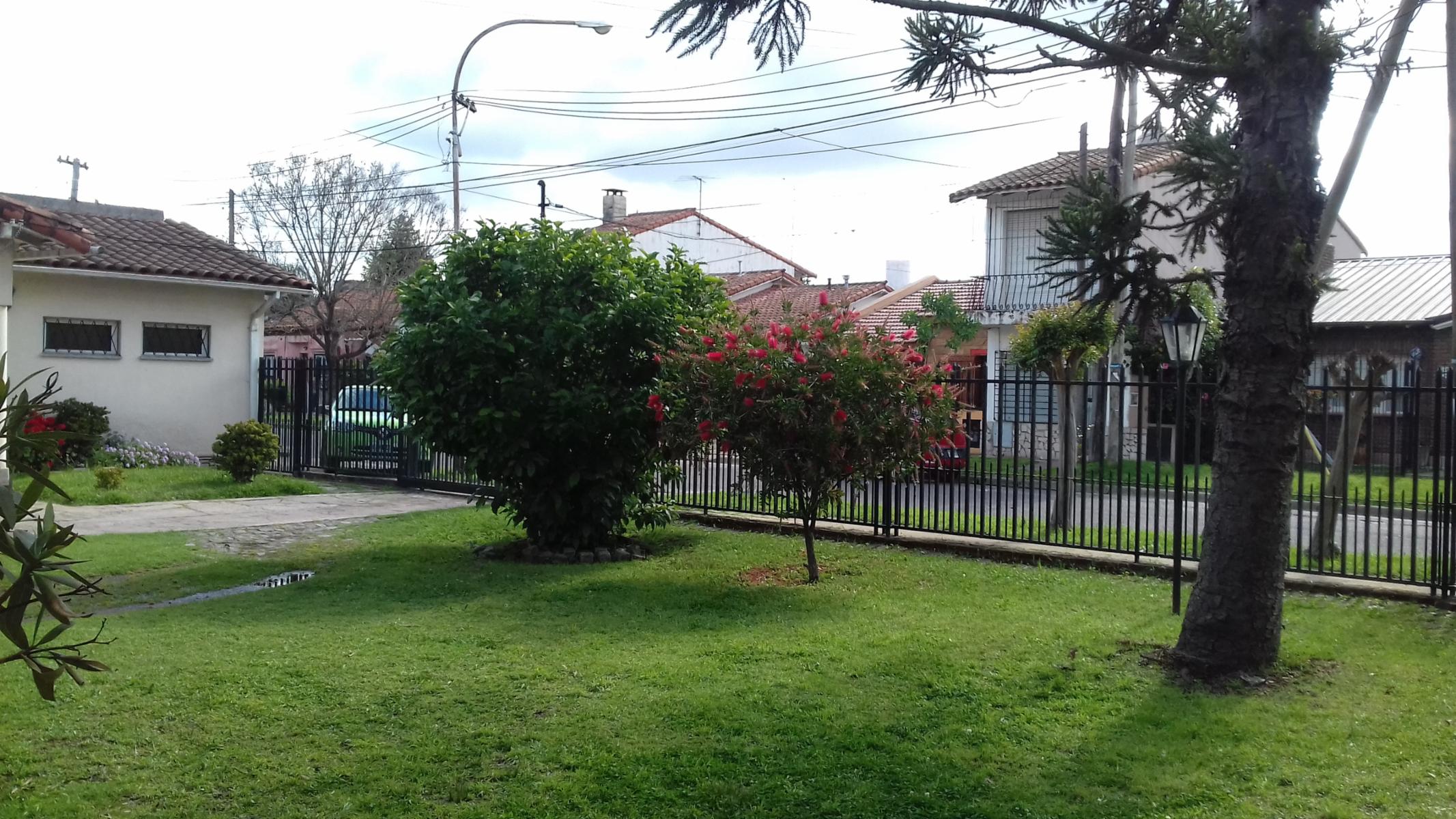 Concejal Roca · Moreno — foto 3