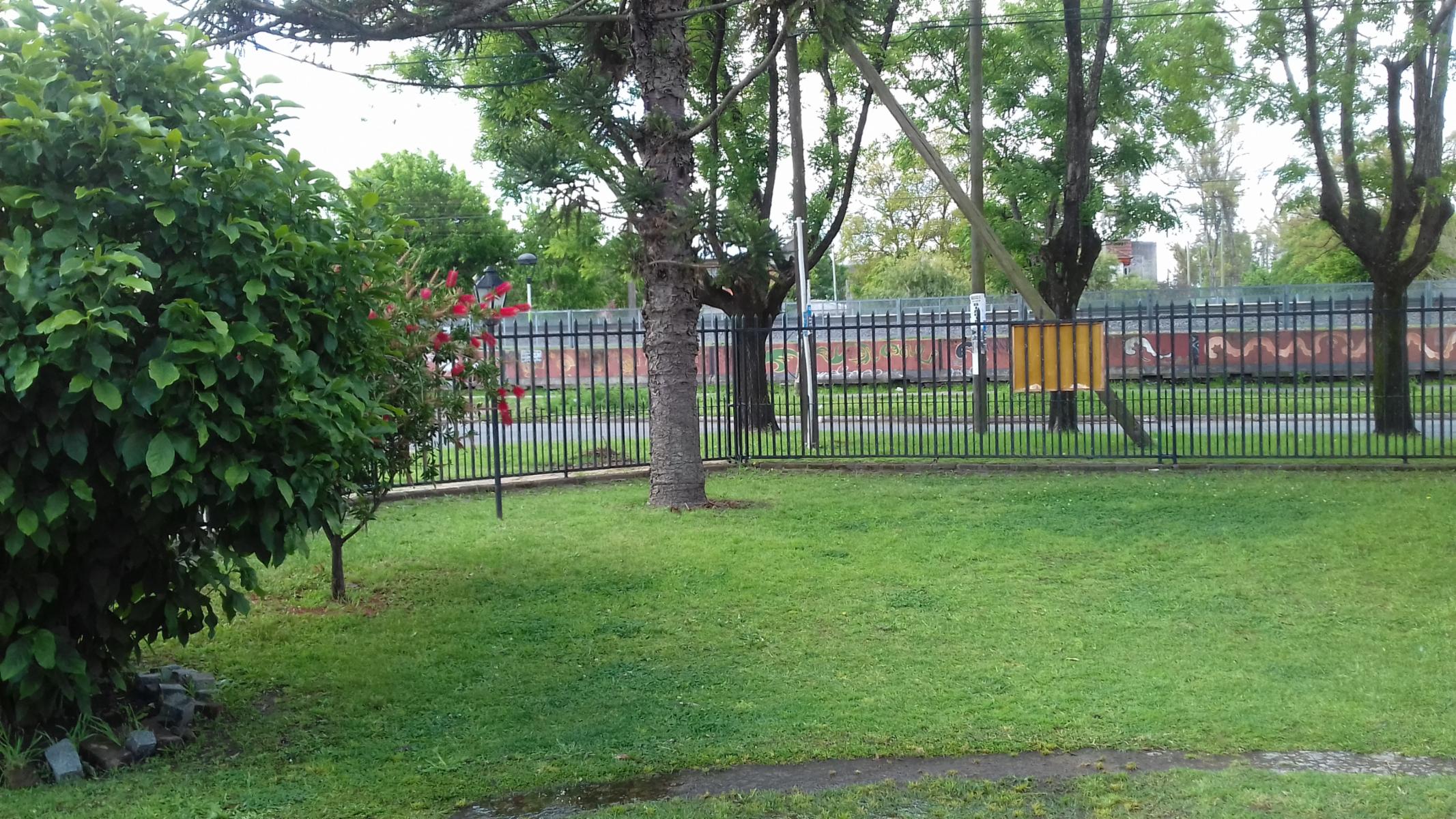 Concejal Roca · Moreno — foto 5