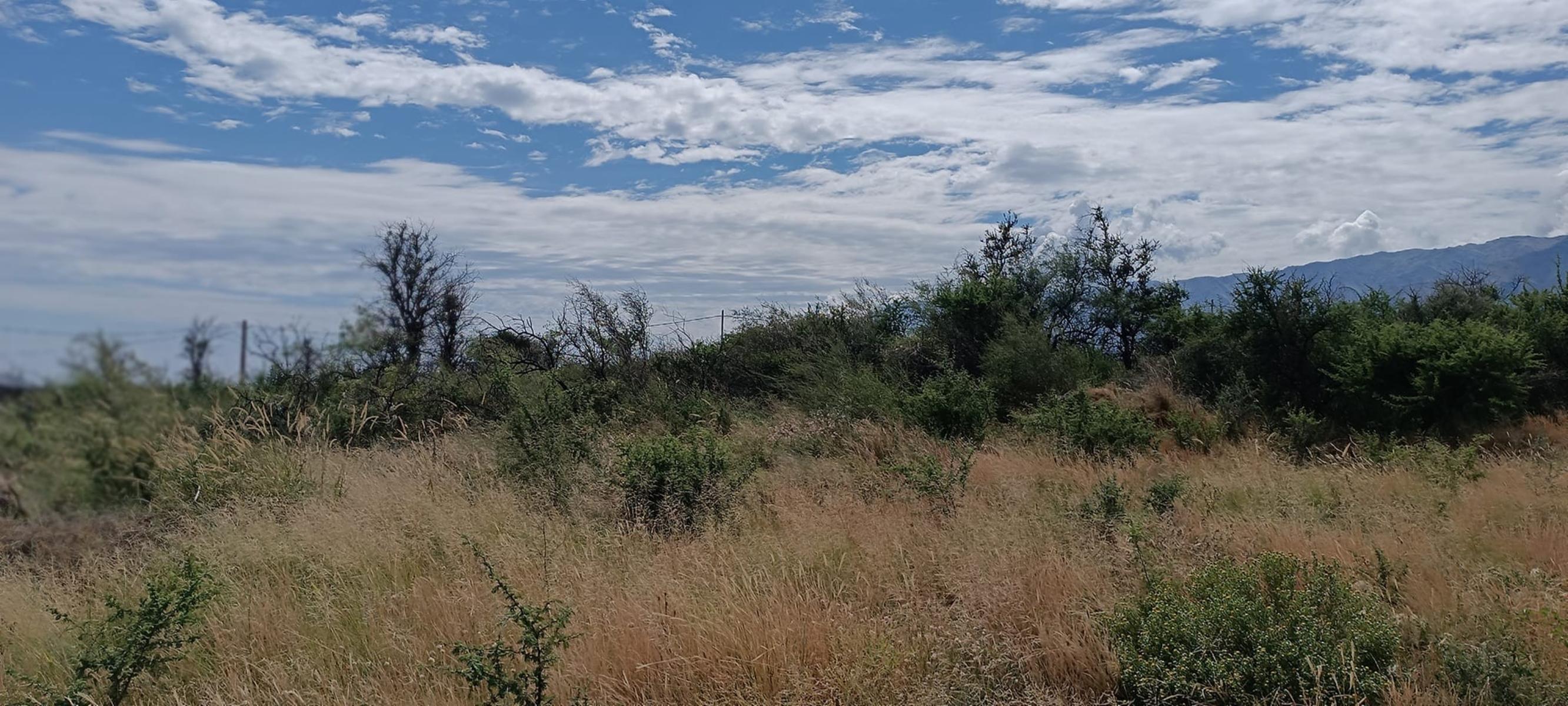 LOTE EN VENTA en Carpintería, San Luis · Junín — foto 6