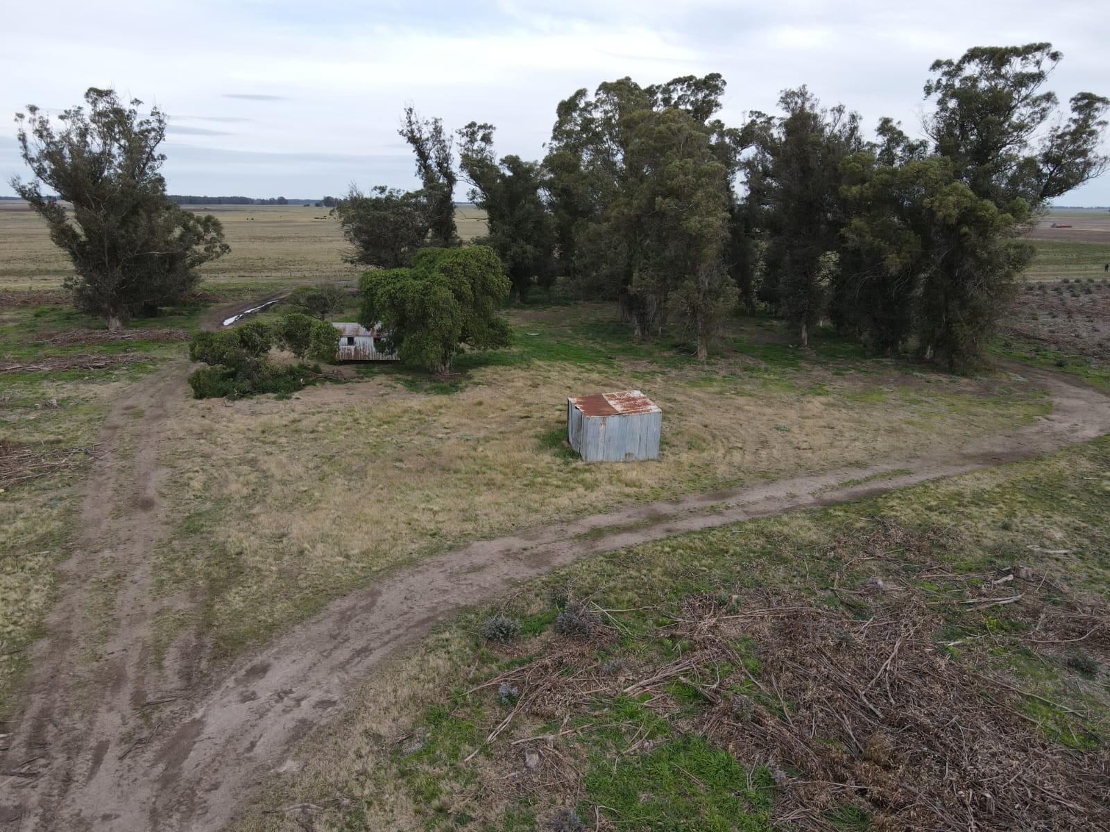 Ramon Santamarina · Necochea — foto 8