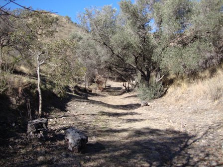 villa carlos paz · Punilla — foto 9
