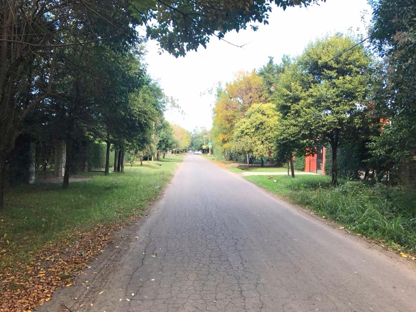 victorino de la plaza · Moreno — foto 3
