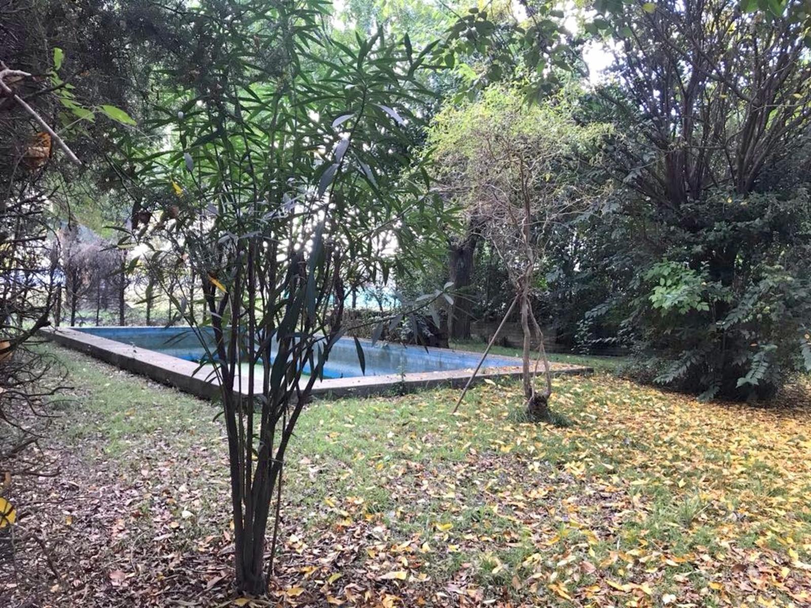 victorino de la plaza · Moreno — foto 4