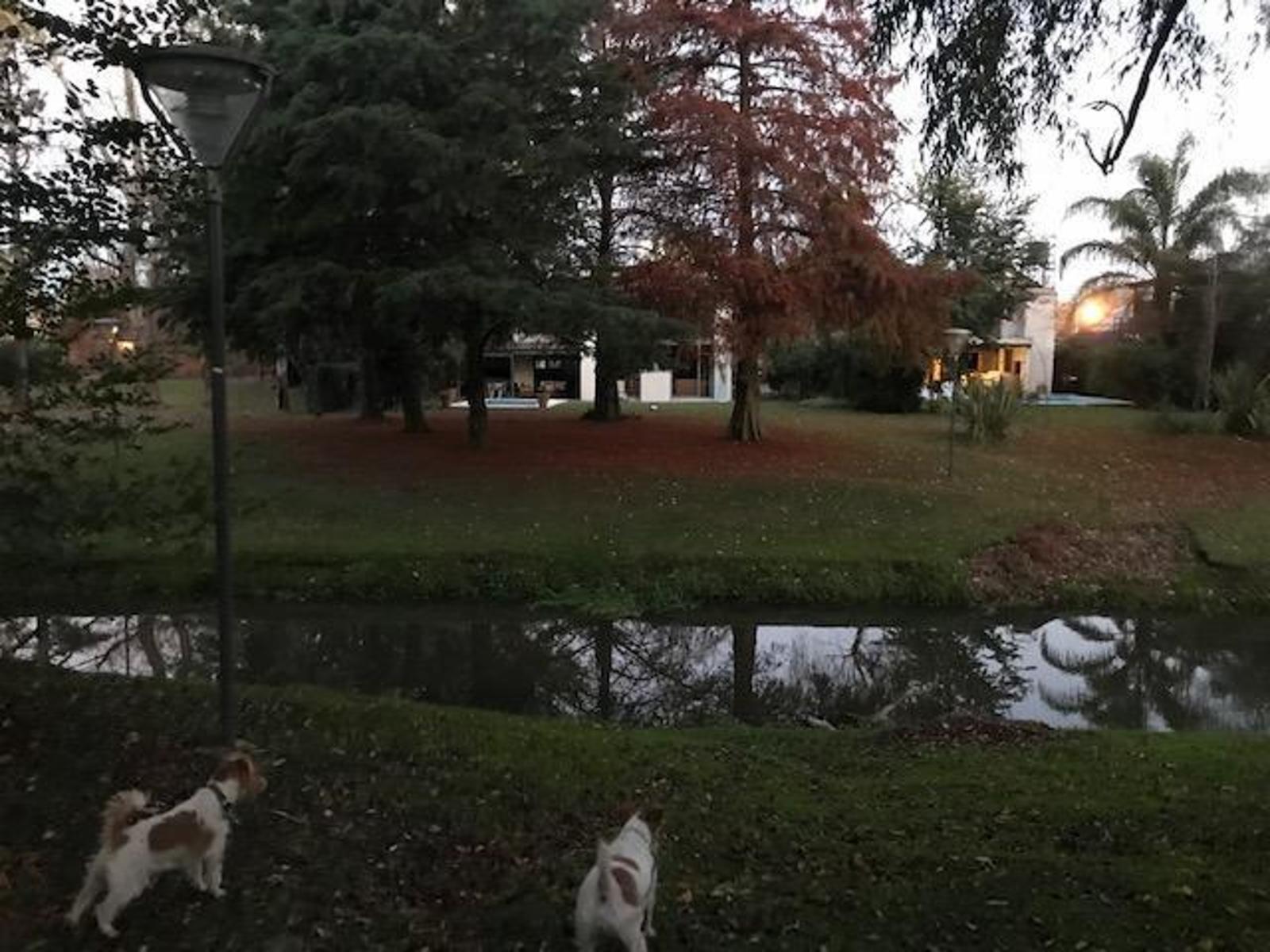 ALMAFUERTE 3900 · Moreno — foto 5