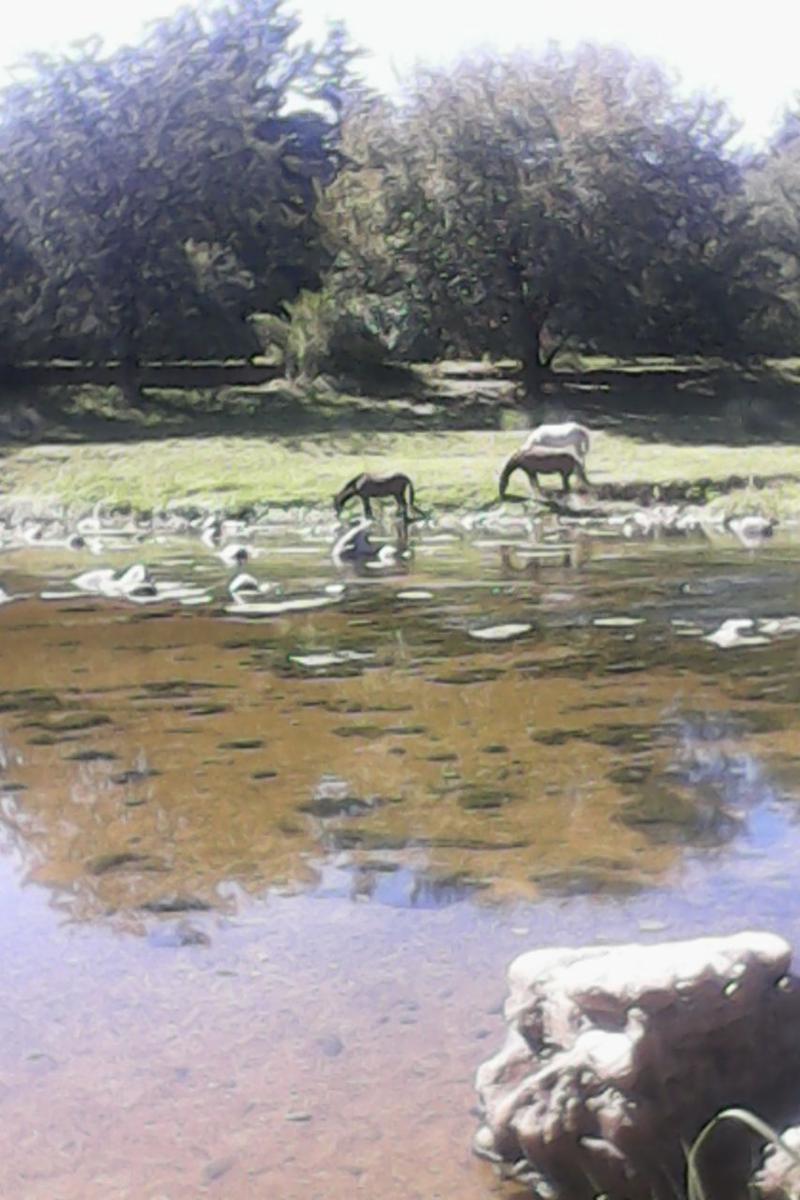 EntRE rIOS · Punilla — foto 22