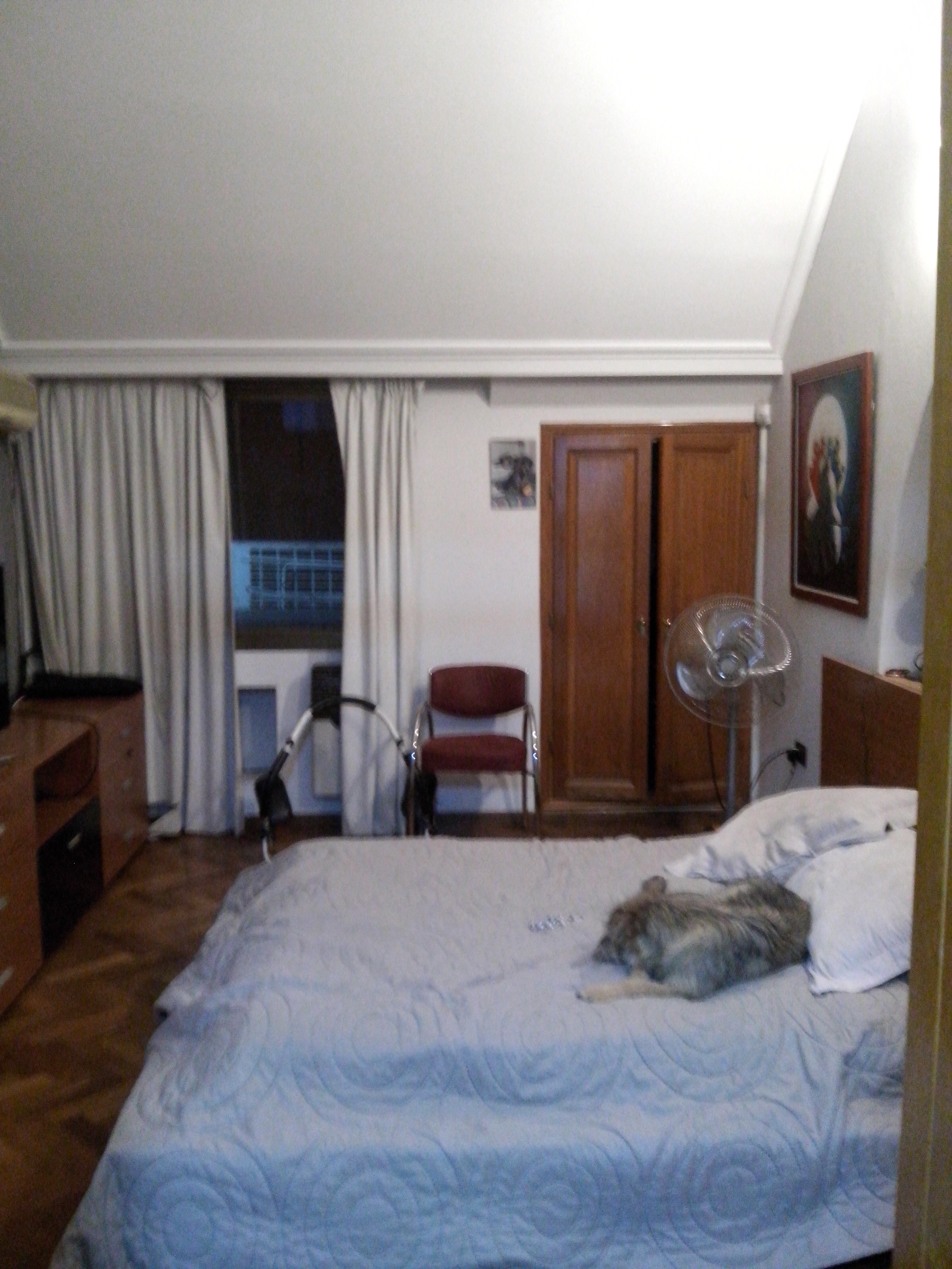 OBISPO ORO · Córdoba Capital — foto 8
