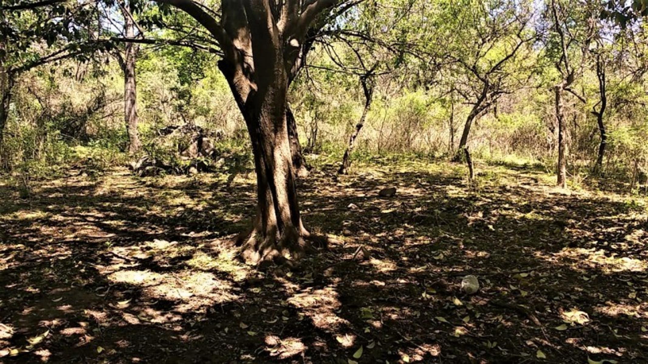 av 5 de octubre 2 · Colón — foto 3