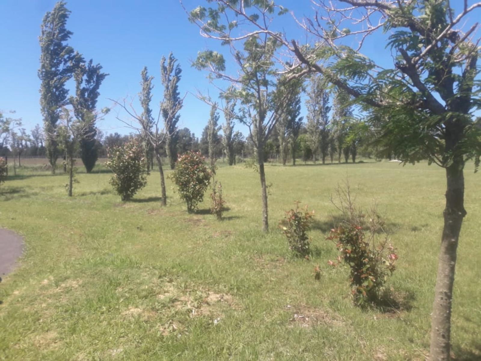 HARAS DE FUNES · Rosario — foto 3