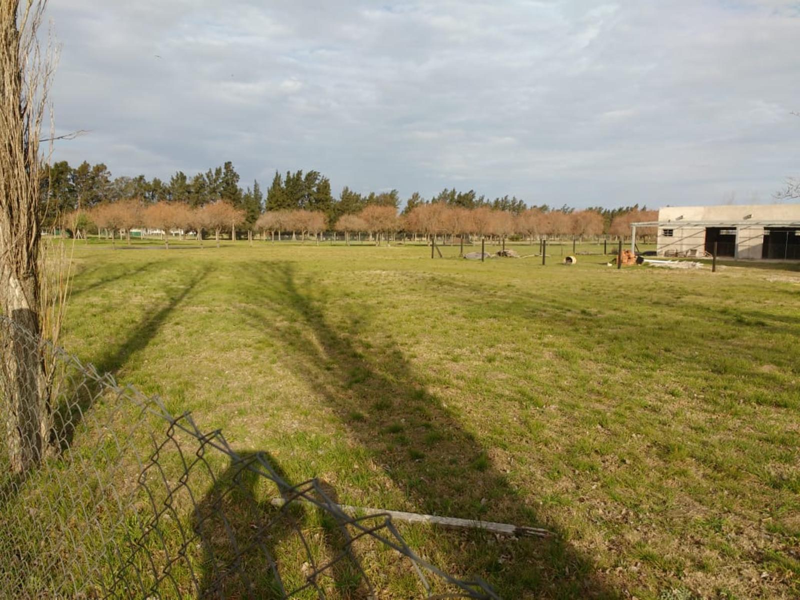 HARAS DE FUNES · Rosario — foto 4