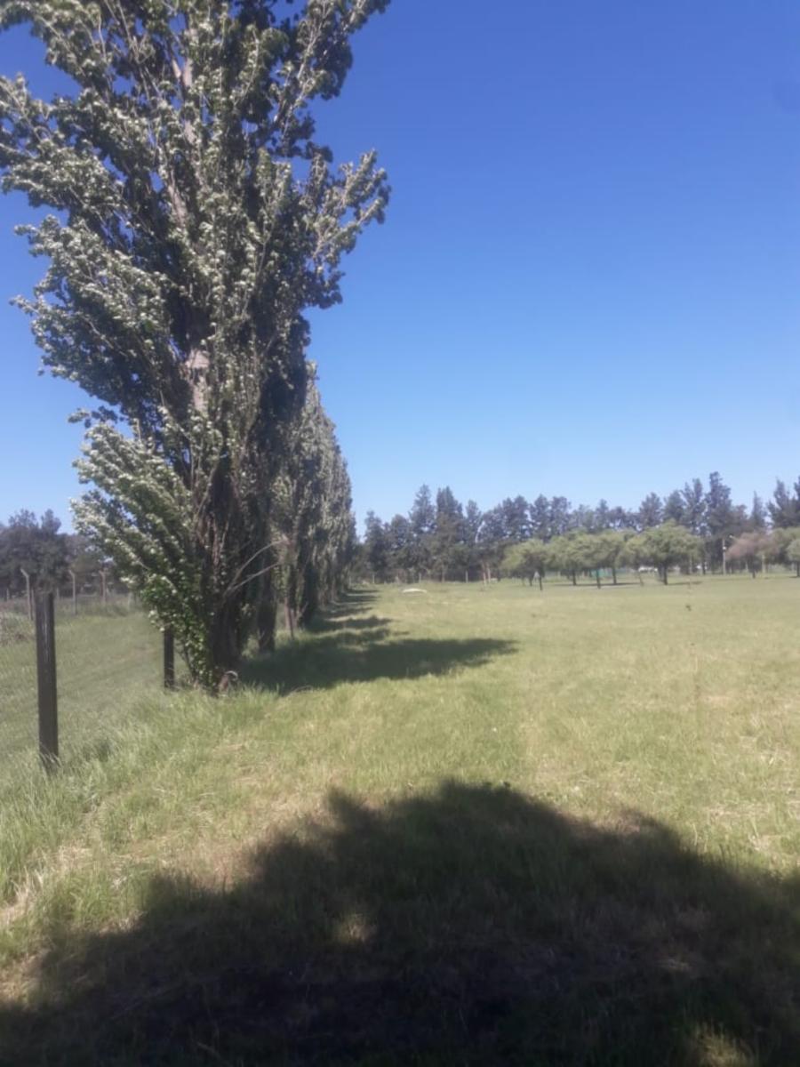 HARAS DE FUNES · Rosario — foto 6