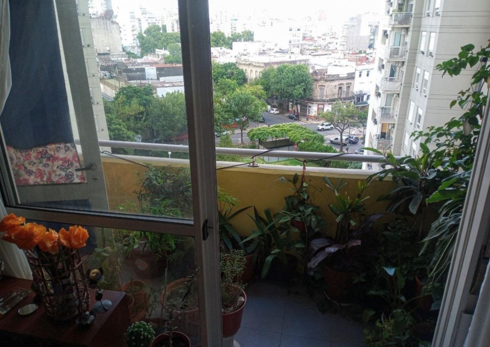 Gallo 600 · Abasto — foto 9