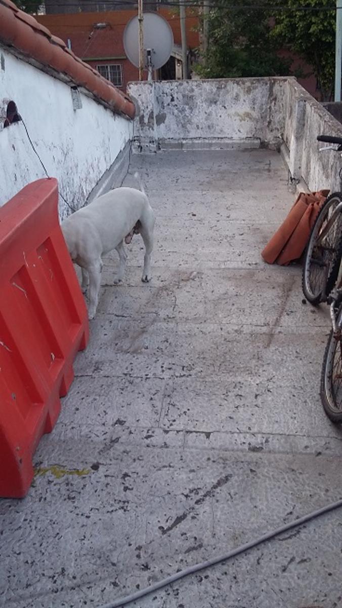 Libertad N° 6495 · San Martín — foto 3