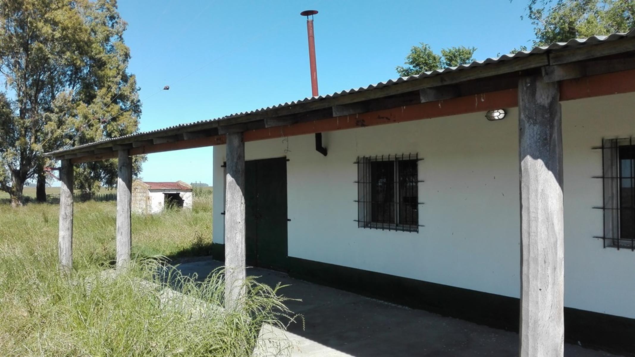 Olavarria · Olavarría — foto 3