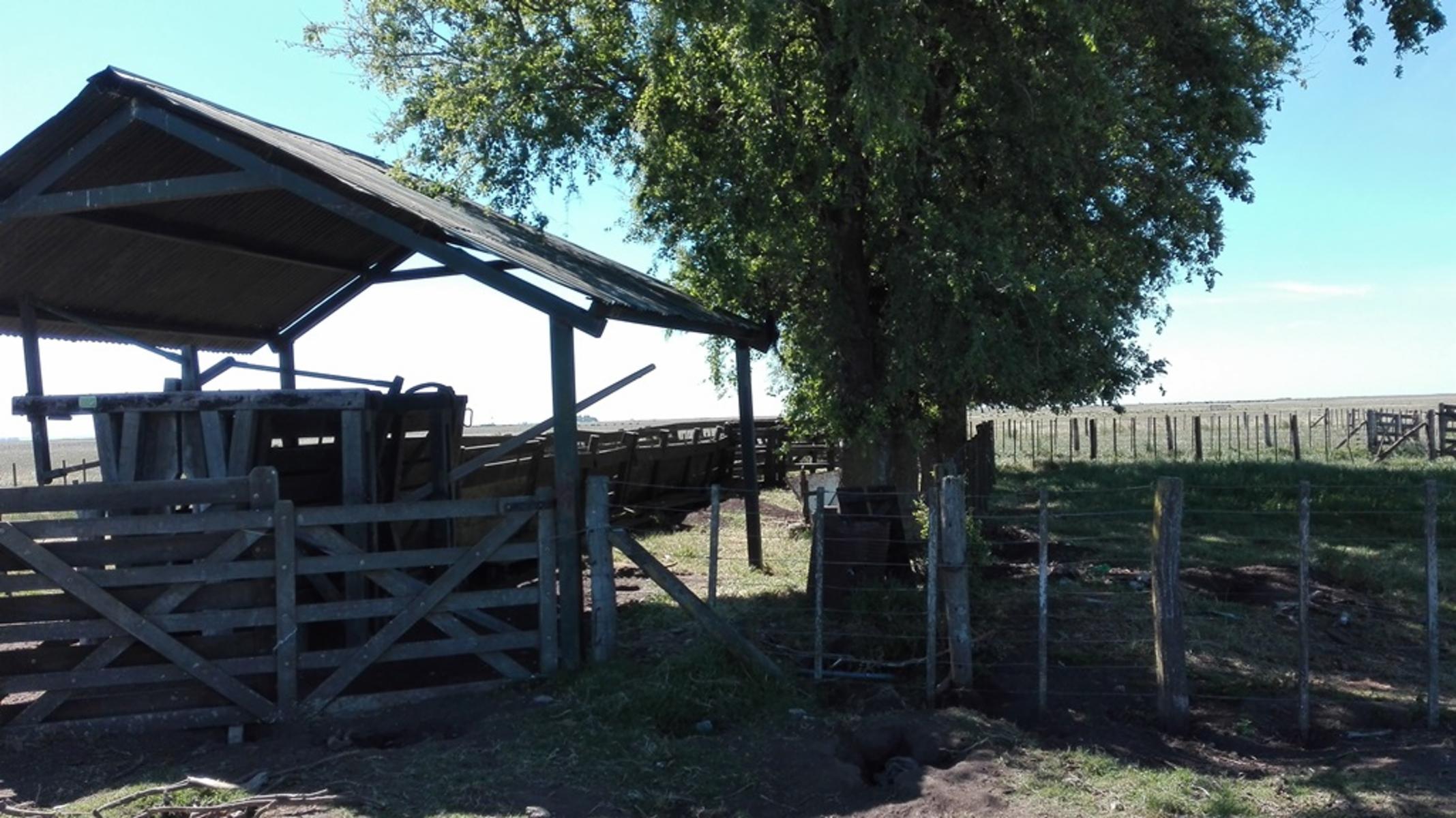 Olavarria · Olavarría — foto 4