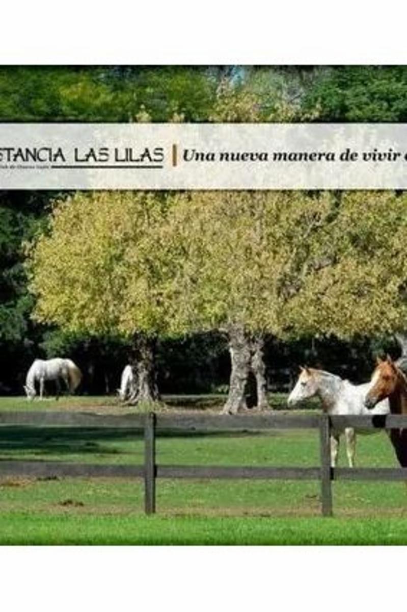 Rp 47 16, Estancia Las Lilas, Luján, Buenos Aires · Luján — foto 3