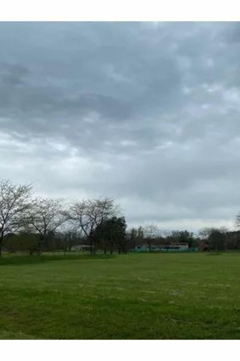 Rp 47 16, Estancia Las Lilas, Luján, Buenos Aires · Luján — foto 7