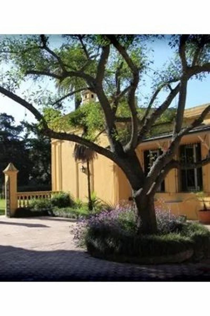 Rp 47 16, Estancia Las Lilas, Luján, Buenos Aires · Luján — foto 10