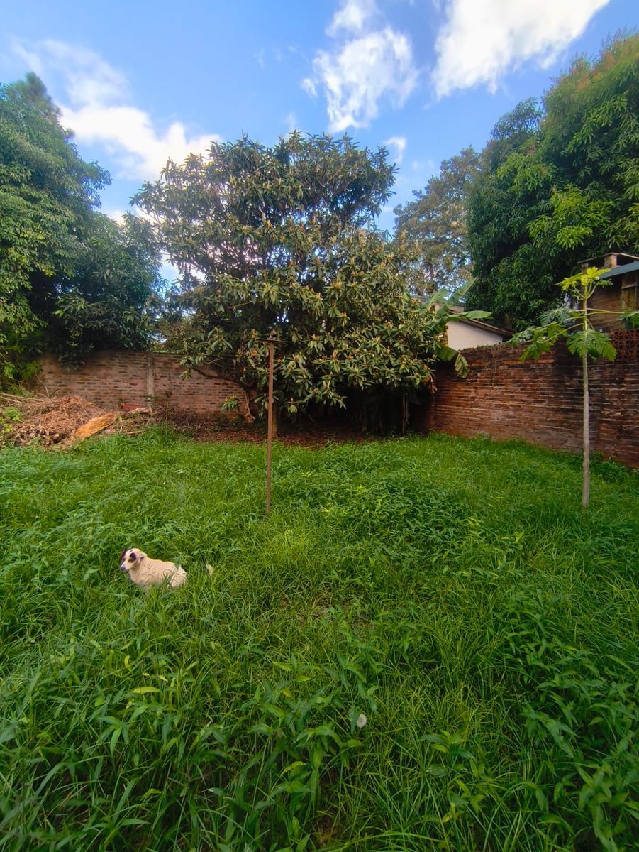 Sargento Cabral 1045 · Oberá — foto 12