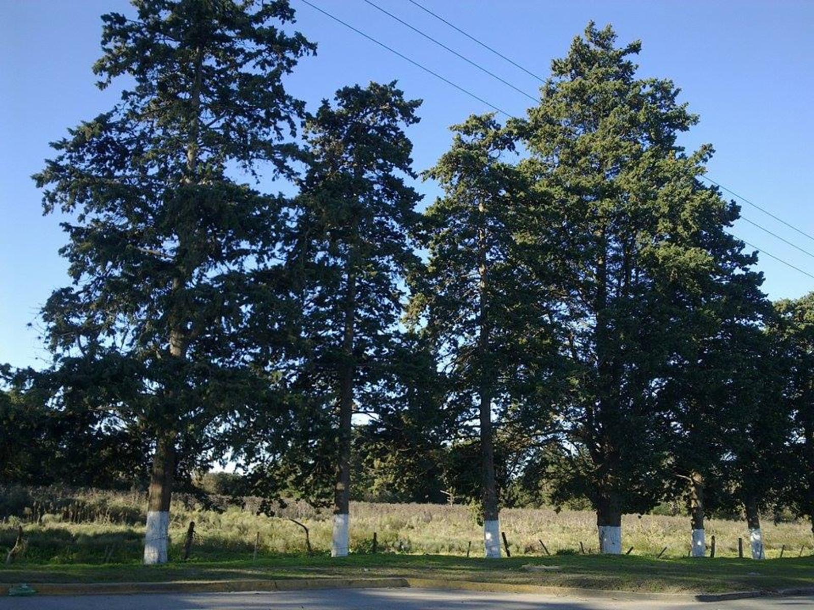 avenida montevideo y 66 · Berisso — foto 3