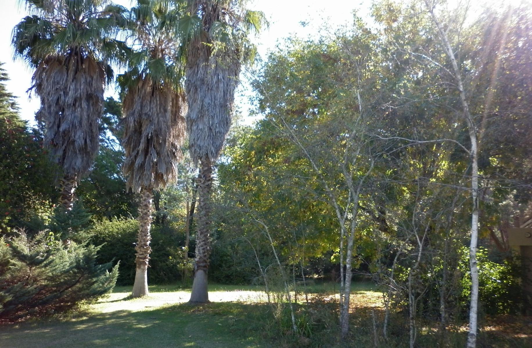 Av. Presidente Peron 3371 · San Vicente — foto 8