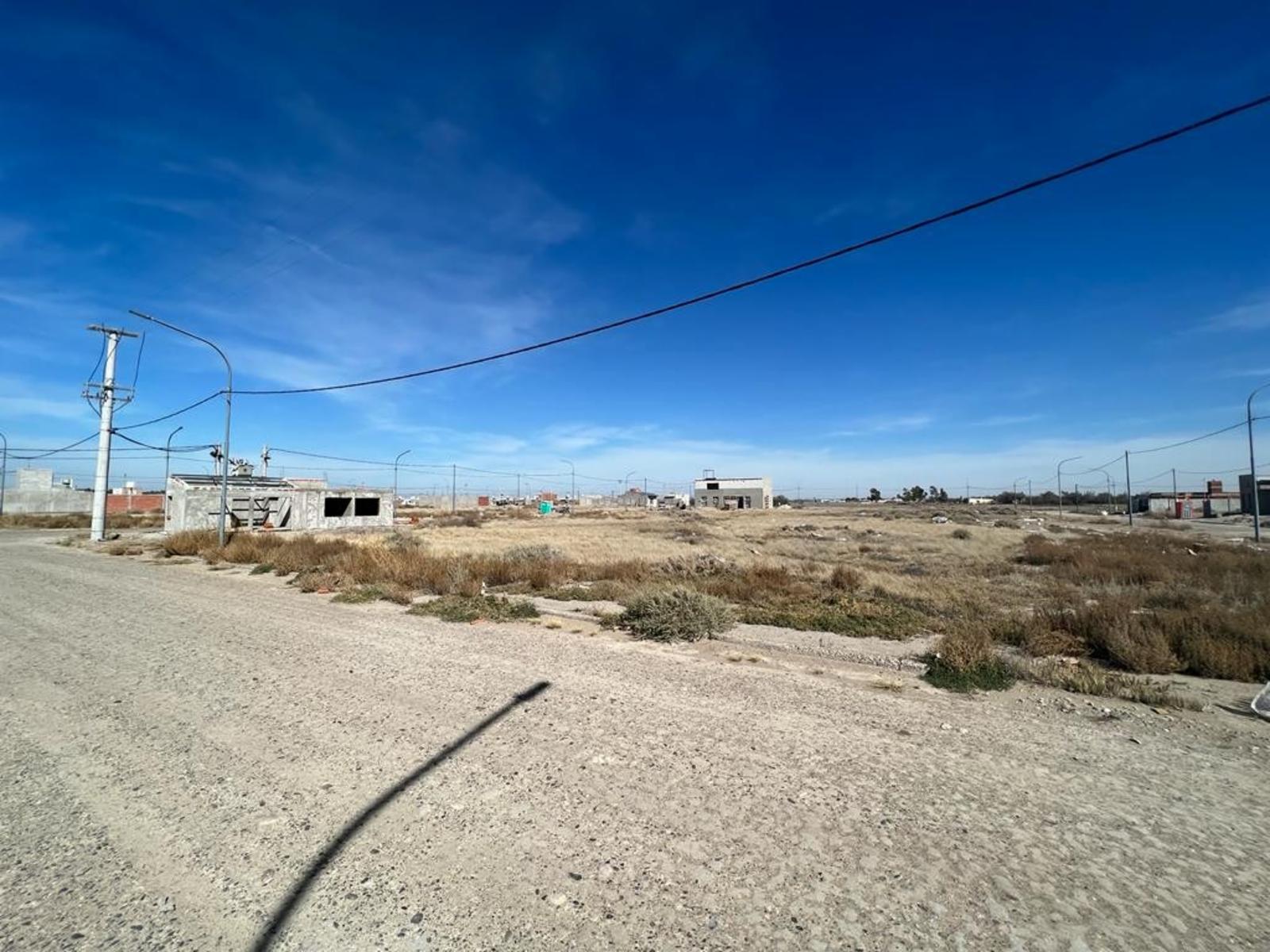 EX RUTA NAC N3 VIEDMA · Adolfo Alsina — foto 4